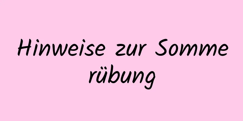 Hinweise zur Sommerübung