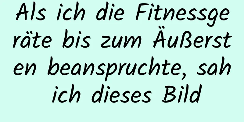 Als ich die Fitnessgeräte bis zum Äußersten beanspruchte, sah ich dieses Bild