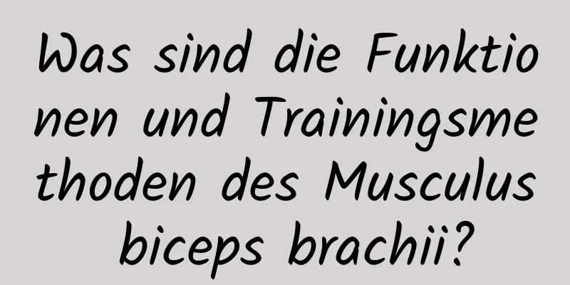 Was sind die Funktionen und Trainingsmethoden des Musculus biceps brachii?