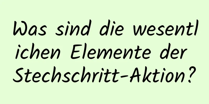 Was sind die wesentlichen Elemente der Stechschritt-Aktion?
