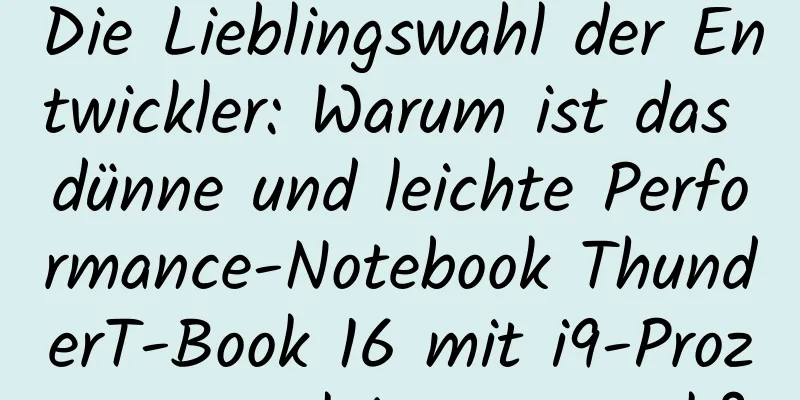 Die Lieblingswahl der Entwickler: Warum ist das dünne und leichte Performance-Notebook ThunderT-Book 16 mit i9-Prozessor so leistungsstark?