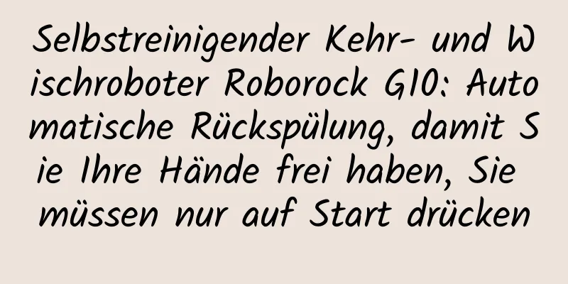 Selbstreinigender Kehr- und Wischroboter Roborock G10: Automatische Rückspülung, damit Sie Ihre Hände frei haben, Sie müssen nur auf Start drücken