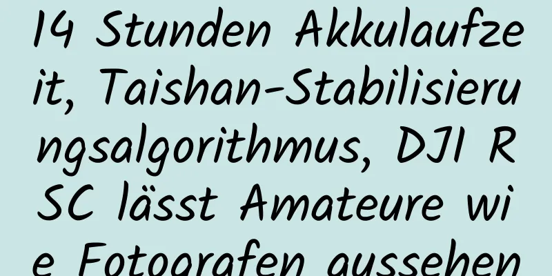 14 Stunden Akkulaufzeit, Taishan-Stabilisierungsalgorithmus, DJI RSC lässt Amateure wie Fotografen aussehen
