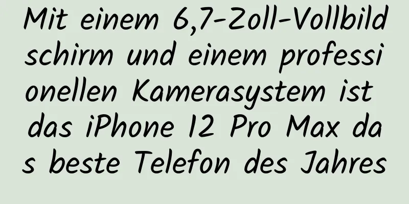 Mit einem 6,7-Zoll-Vollbildschirm und einem professionellen Kamerasystem ist das iPhone 12 Pro Max das beste Telefon des Jahres