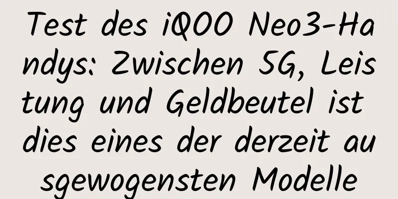 Test des iQOO Neo3-Handys: Zwischen 5G, Leistung und Geldbeutel ist dies eines der derzeit ausgewogensten Modelle