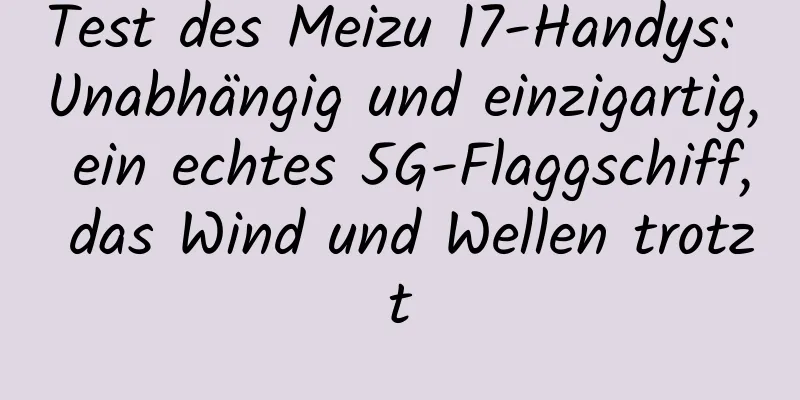 Test des Meizu 17-Handys: Unabhängig und einzigartig, ein echtes 5G-Flaggschiff, das Wind und Wellen trotzt