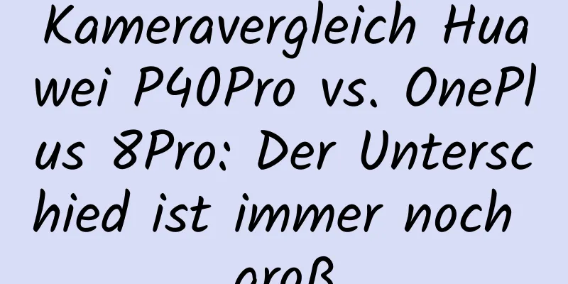 Kameravergleich Huawei P40Pro vs. OnePlus 8Pro: Der Unterschied ist immer noch groß