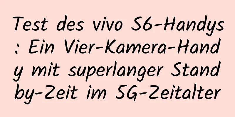 Test des vivo S6-Handys: Ein Vier-Kamera-Handy mit superlanger Standby-Zeit im 5G-Zeitalter