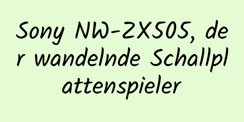 Sony NW-ZX505, der wandelnde Schallplattenspieler