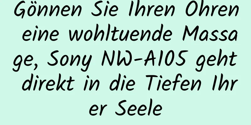 Gönnen Sie Ihren Ohren eine wohltuende Massage, Sony NW-A105 geht direkt in die Tiefen Ihrer Seele