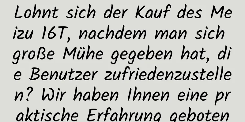 Lohnt sich der Kauf des Meizu 16T, nachdem man sich große Mühe gegeben hat, die Benutzer zufriedenzustellen? Wir haben Ihnen eine praktische Erfahrung geboten