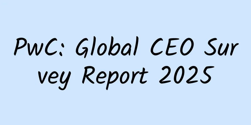 PwC: Global CEO Survey Report 2025