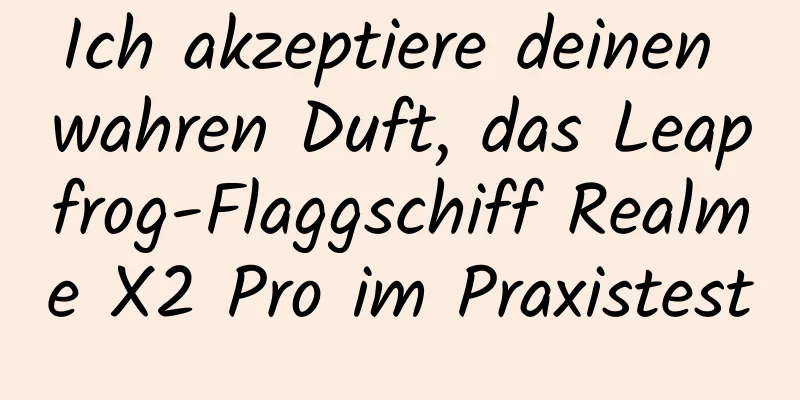Ich akzeptiere deinen wahren Duft, das Leapfrog-Flaggschiff Realme X2 Pro im Praxistest