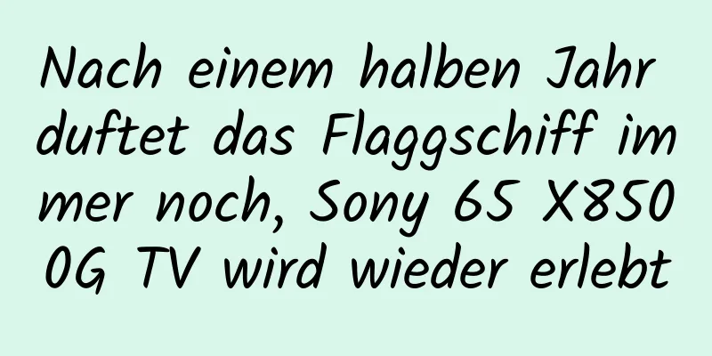 Nach einem halben Jahr duftet das Flaggschiff immer noch, Sony 65 X8500G TV wird wieder erlebt