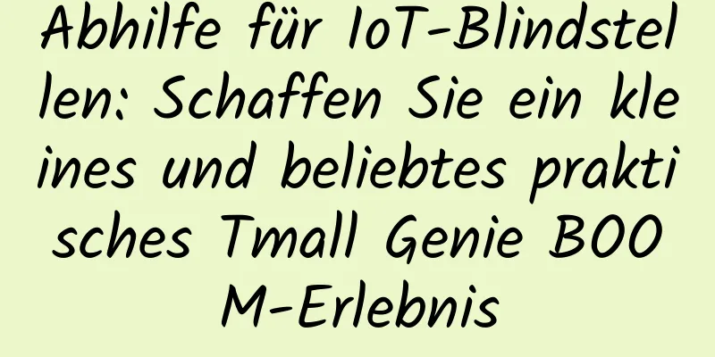 Abhilfe für IoT-Blindstellen: Schaffen Sie ein kleines und beliebtes praktisches Tmall Genie BOOM-Erlebnis