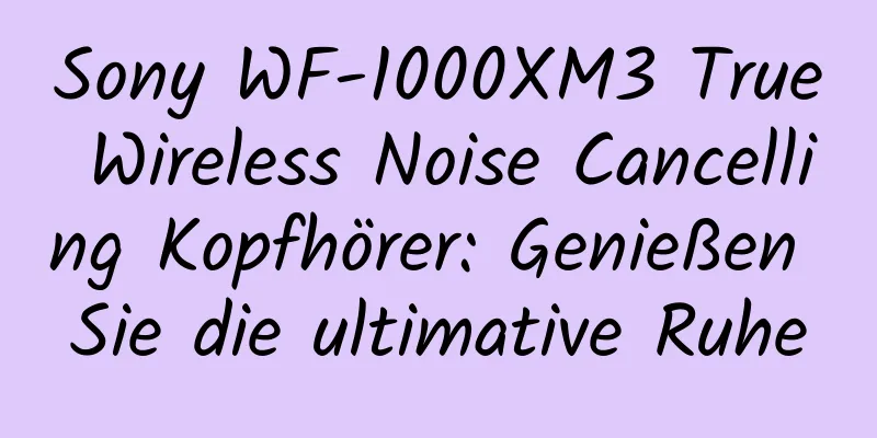 Sony WF-1000XM3 True Wireless Noise Cancelling Kopfhörer: Genießen Sie die ultimative Ruhe