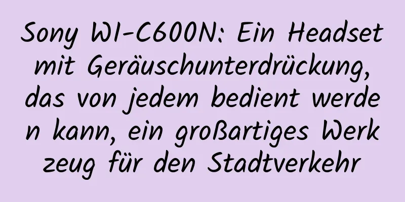 Sony WI-C600N: Ein Headset mit Geräuschunterdrückung, das von jedem bedient werden kann, ein großartiges Werkzeug für den Stadtverkehr