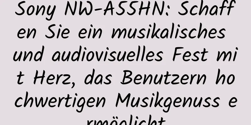 Sony NW-A55HN: Schaffen Sie ein musikalisches und audiovisuelles Fest mit Herz, das Benutzern hochwertigen Musikgenuss ermöglicht