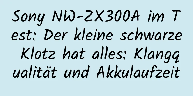 Sony NW-ZX300A im Test: Der kleine schwarze Klotz hat alles: Klangqualität und Akkulaufzeit