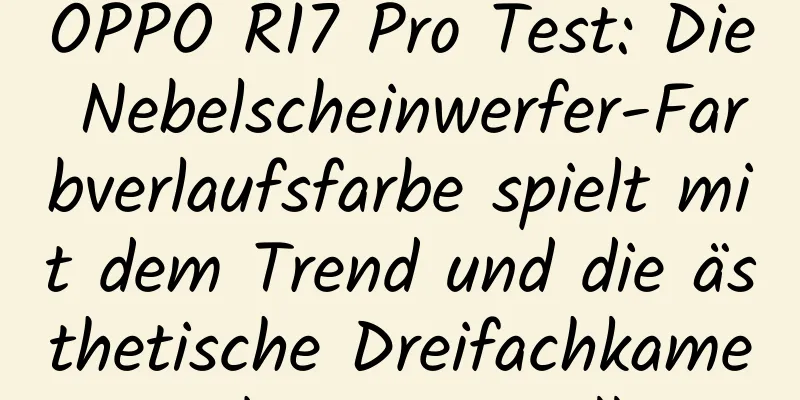 OPPO R17 Pro Test: Die Nebelscheinwerfer-Farbverlaufsfarbe spielt mit dem Trend und die ästhetische Dreifachkamera begeistert alle
