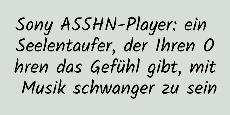 Sony A55HN-Player: ein Seelentaufer, der Ihren Ohren das Gefühl gibt, mit Musik schwanger zu sein