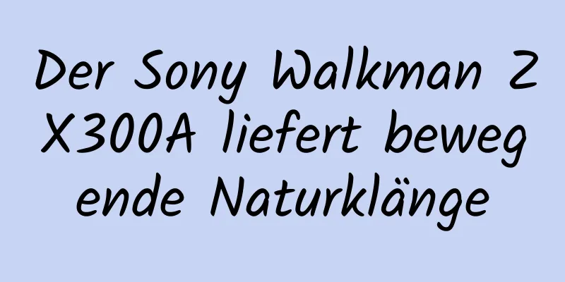 Der Sony Walkman ZX300A liefert bewegende Naturklänge