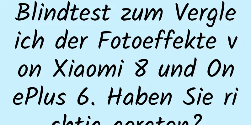 Blindtest zum Vergleich der Fotoeffekte von Xiaomi 8 und OnePlus 6. Haben Sie richtig geraten?