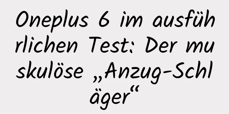 Oneplus 6 im ausführlichen Test: Der muskulöse „Anzug-Schläger“