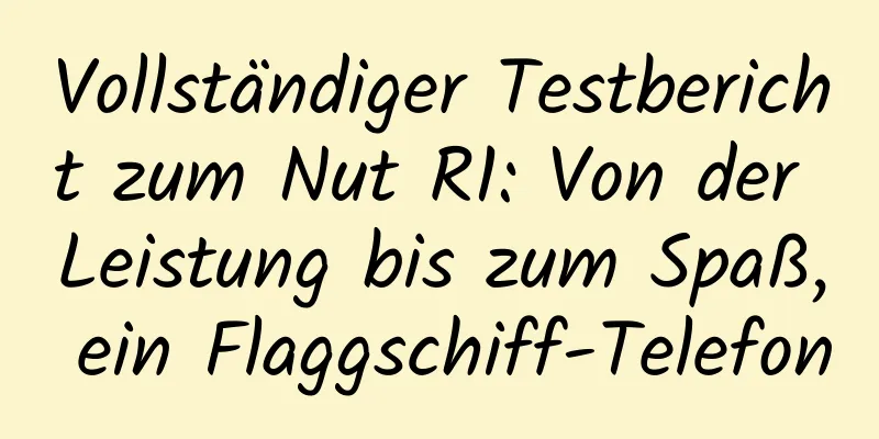 Vollständiger Testbericht zum Nut R1: Von der Leistung bis zum Spaß, ein Flaggschiff-Telefon