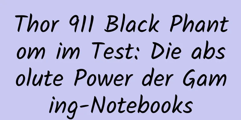 Thor 911 Black Phantom im Test: Die absolute Power der Gaming-Notebooks