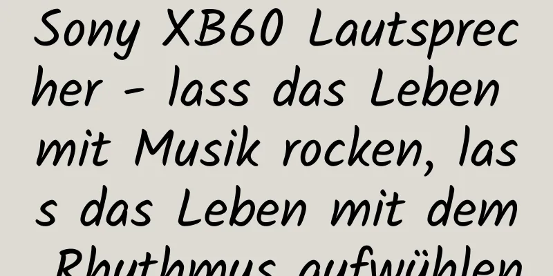 Sony XB60 Lautsprecher - lass das Leben mit Musik rocken, lass das Leben mit dem Rhythmus aufwühlen