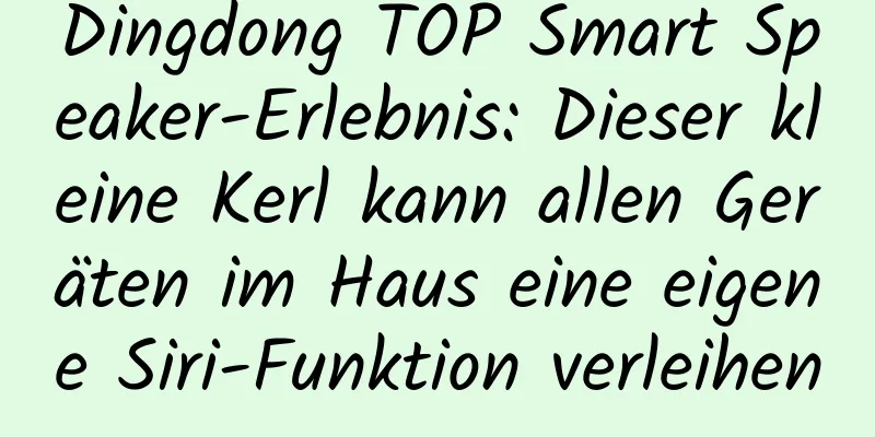 Dingdong TOP Smart Speaker-Erlebnis: Dieser kleine Kerl kann allen Geräten im Haus eine eigene Siri-Funktion verleihen