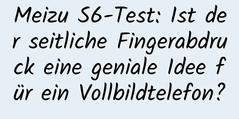 Meizu S6-Test: Ist der seitliche Fingerabdruck eine geniale Idee für ein Vollbildtelefon?