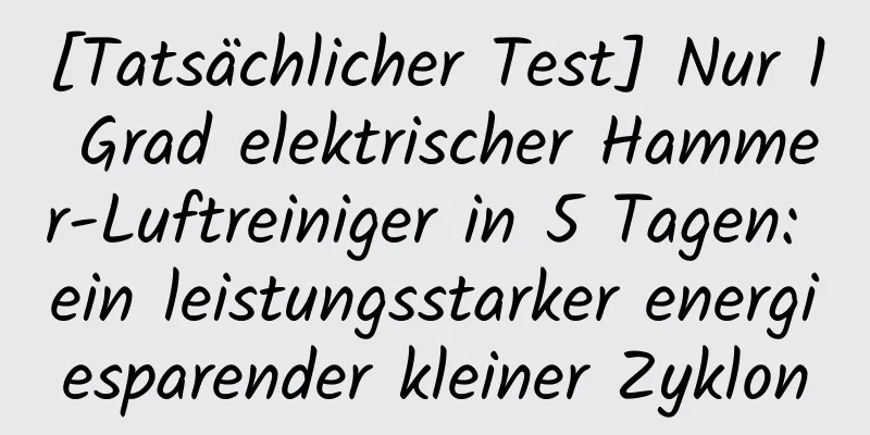 [Tatsächlicher Test] Nur 1 Grad elektrischer Hammer-Luftreiniger in 5 Tagen: ein leistungsstarker energiesparender kleiner Zyklon