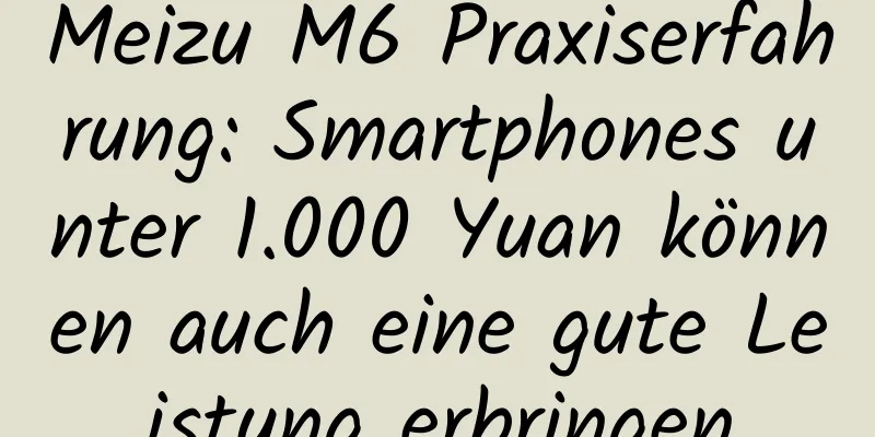 Meizu M6 Praxiserfahrung: Smartphones unter 1.000 Yuan können auch eine gute Leistung erbringen