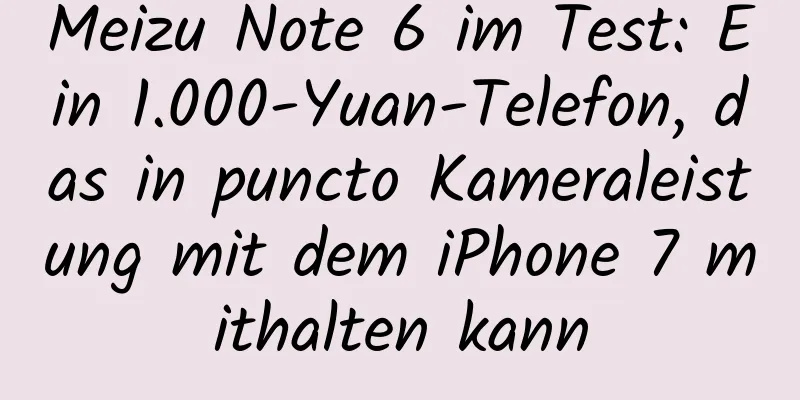 Meizu Note 6 im Test: Ein 1.000-Yuan-Telefon, das in puncto Kameraleistung mit dem iPhone 7 mithalten kann