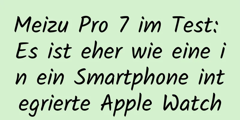 Meizu Pro 7 im Test: Es ist eher wie eine in ein Smartphone integrierte Apple Watch