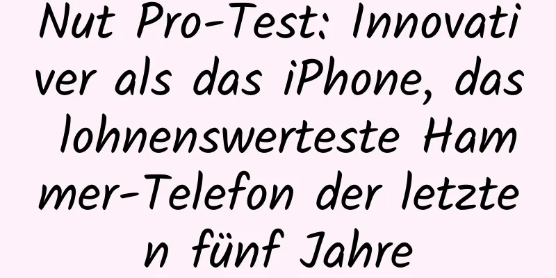 Nut Pro-Test: Innovativer als das iPhone, das lohnenswerteste Hammer-Telefon der letzten fünf Jahre