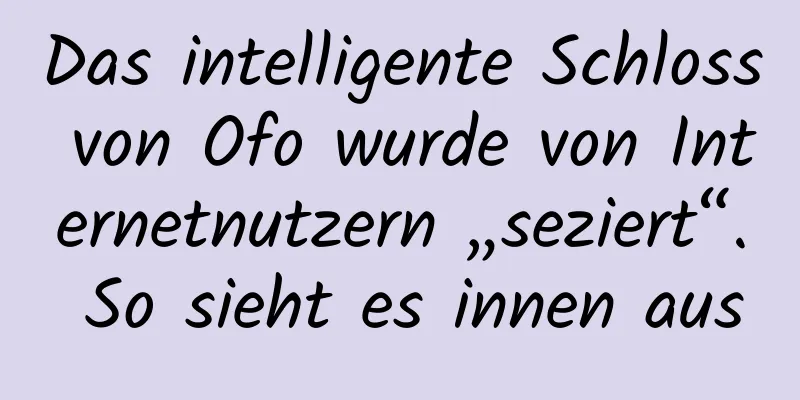 Das intelligente Schloss von Ofo wurde von Internetnutzern „seziert“. So sieht es innen aus