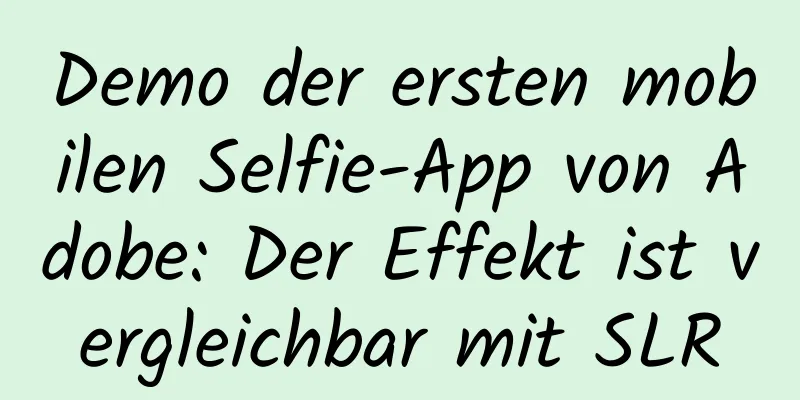 Demo der ersten mobilen Selfie-App von Adobe: Der Effekt ist vergleichbar mit SLR