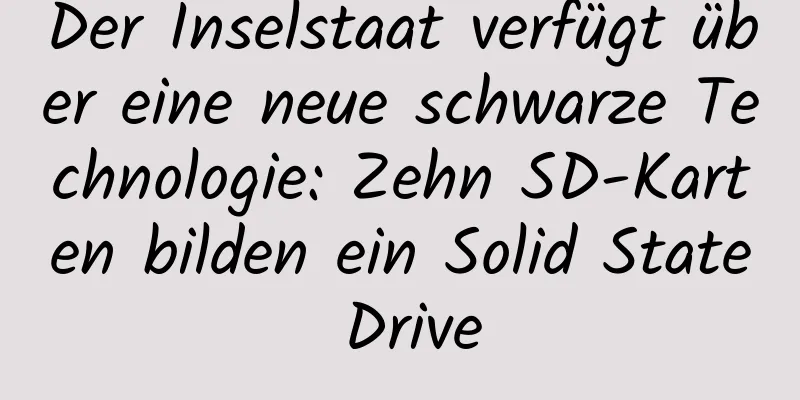 Der Inselstaat verfügt über eine neue schwarze Technologie: Zehn SD-Karten bilden ein Solid State Drive