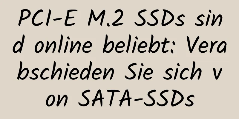 PCI-E M.2 SSDs sind online beliebt: Verabschieden Sie sich von SATA-SSDs