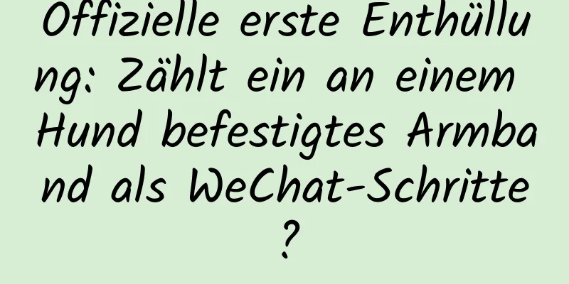Offizielle erste Enthüllung: Zählt ein an einem Hund befestigtes Armband als WeChat-Schritte?