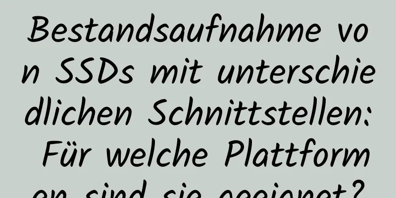 Bestandsaufnahme von SSDs mit unterschiedlichen Schnittstellen: Für welche Plattformen sind sie geeignet?