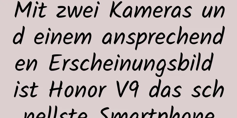 Mit zwei Kameras und einem ansprechenden Erscheinungsbild ist Honor V9 das schnellste Smartphone