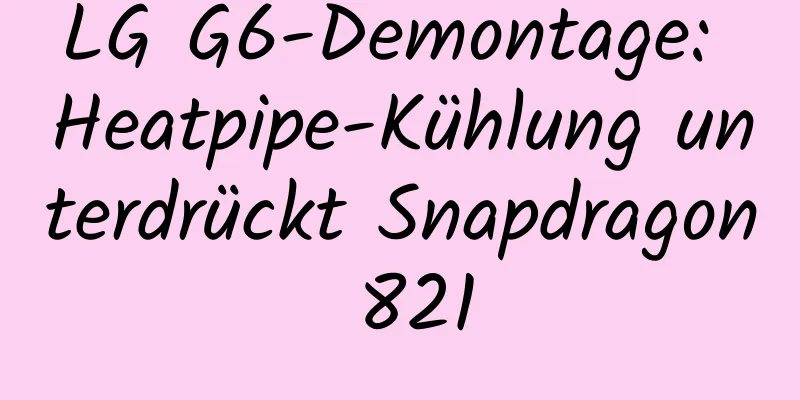LG G6-Demontage: Heatpipe-Kühlung unterdrückt Snapdragon 821