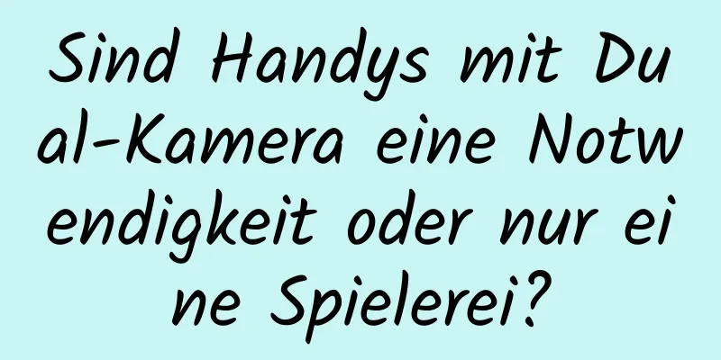 Sind Handys mit Dual-Kamera eine Notwendigkeit oder nur eine Spielerei?
