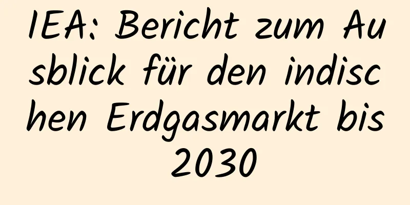 IEA: Bericht zum Ausblick für den indischen Erdgasmarkt bis 2030