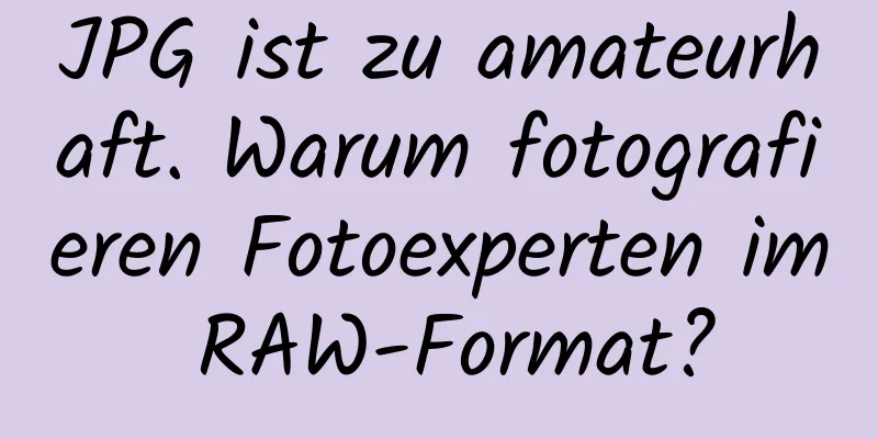 JPG ist zu amateurhaft. Warum fotografieren Fotoexperten im RAW-Format?
