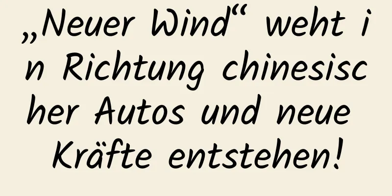 „Neuer Wind“ weht in Richtung chinesischer Autos und neue Kräfte entstehen!